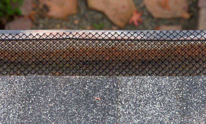 Gutter Guards Installation in Longmont, CO