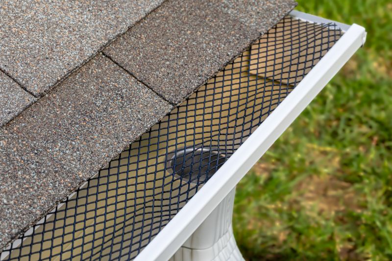 Gutter Mesh Installation in Everett, WA