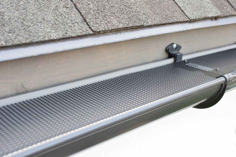 Gutter Mesh Installation in Everett, WA