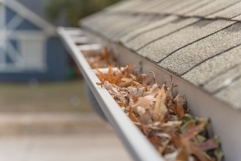 Leaf Barrier Installation in Seattle, WA